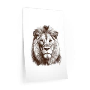 Wall Decals Lion