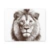 Satin Canvas, Stretched Lion - Image 17