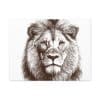 Satin Canvas, Stretched Lion - Image 25