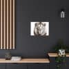 Satin Canvas, Stretched Lion - Image 28