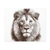 Satin Canvas, Stretched Lion - Image 45