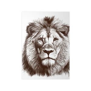 Photopaper Posters Lion
