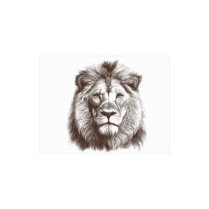 Unframed Prints Lion