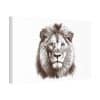 Canvas Stretched, 1.5'' Lion - Image 54