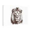 Canvas Stretched, 1.5'' Lion - Image 10