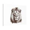 Canvas Stretched, 1.5'' Lion - Image 14