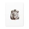 Canvas Stretched, 1.5'' Lion - Image 21