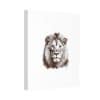 Canvas Stretched, 1.5'' Lion - Image 26