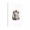 Canvas Stretched, 1.5'' Lion - Image 42